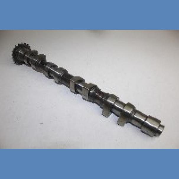 Audi A4 Exhaust Camshaft For Sale in Kenya (2005)