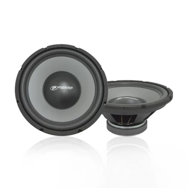 Pro Acoustic 12 Inch SVC Subwoofer (2000W) For Sale in Kenya